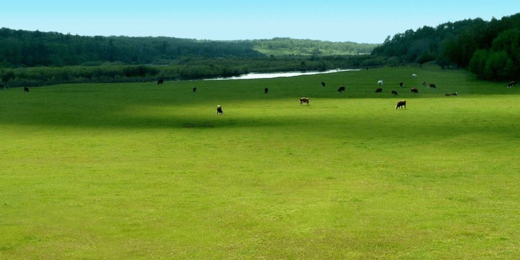 open range and the land owner